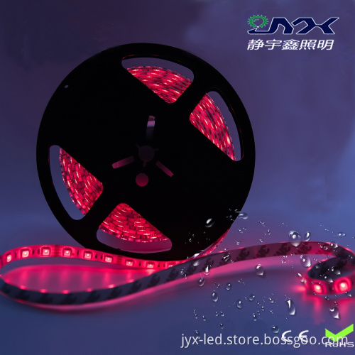 Specialized decorative 5m 150leds smd 5050 Red color led waterproof flexible 12v led strip lights